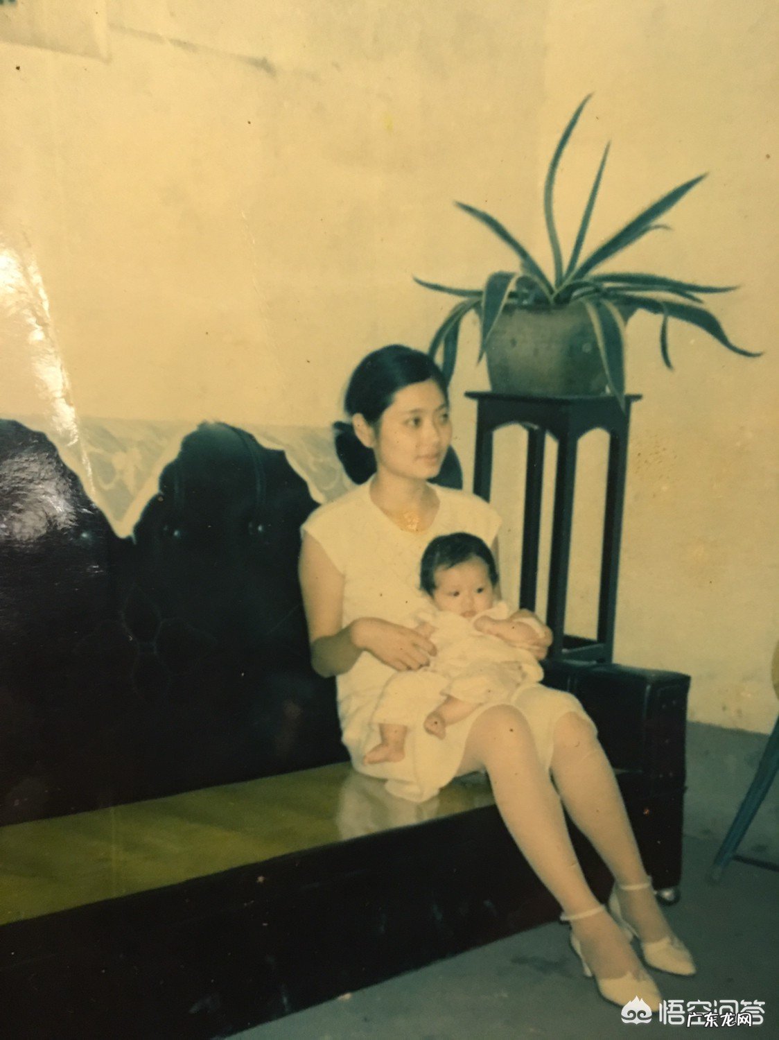 你的母亲年轻的时候有多美？