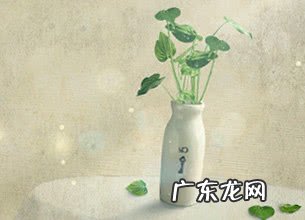 桃子和阿狸的故事短篇漫画 桃子和阿狸的故事短篇作文