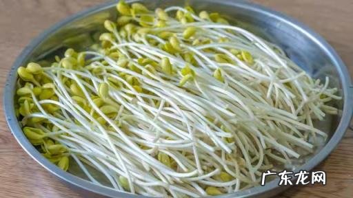 自制豆芽的家常做法,黄豆芽怎么做好吃家常做法