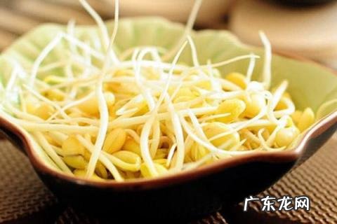 自制豆芽的家常做法,黄豆芽怎么做好吃家常做法
