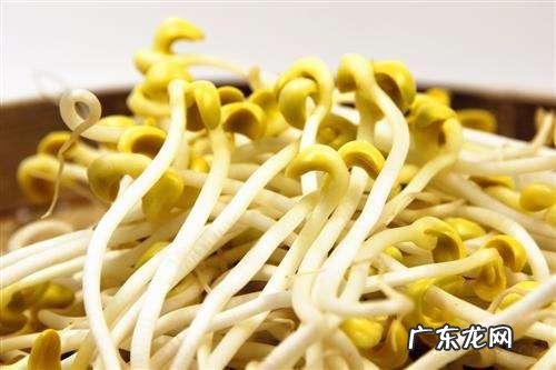 自制豆芽的家常做法，黄豆芽怎么做好吃家常做法