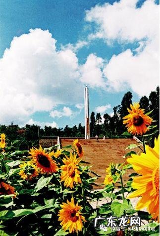 晋福古园公墓风水如何