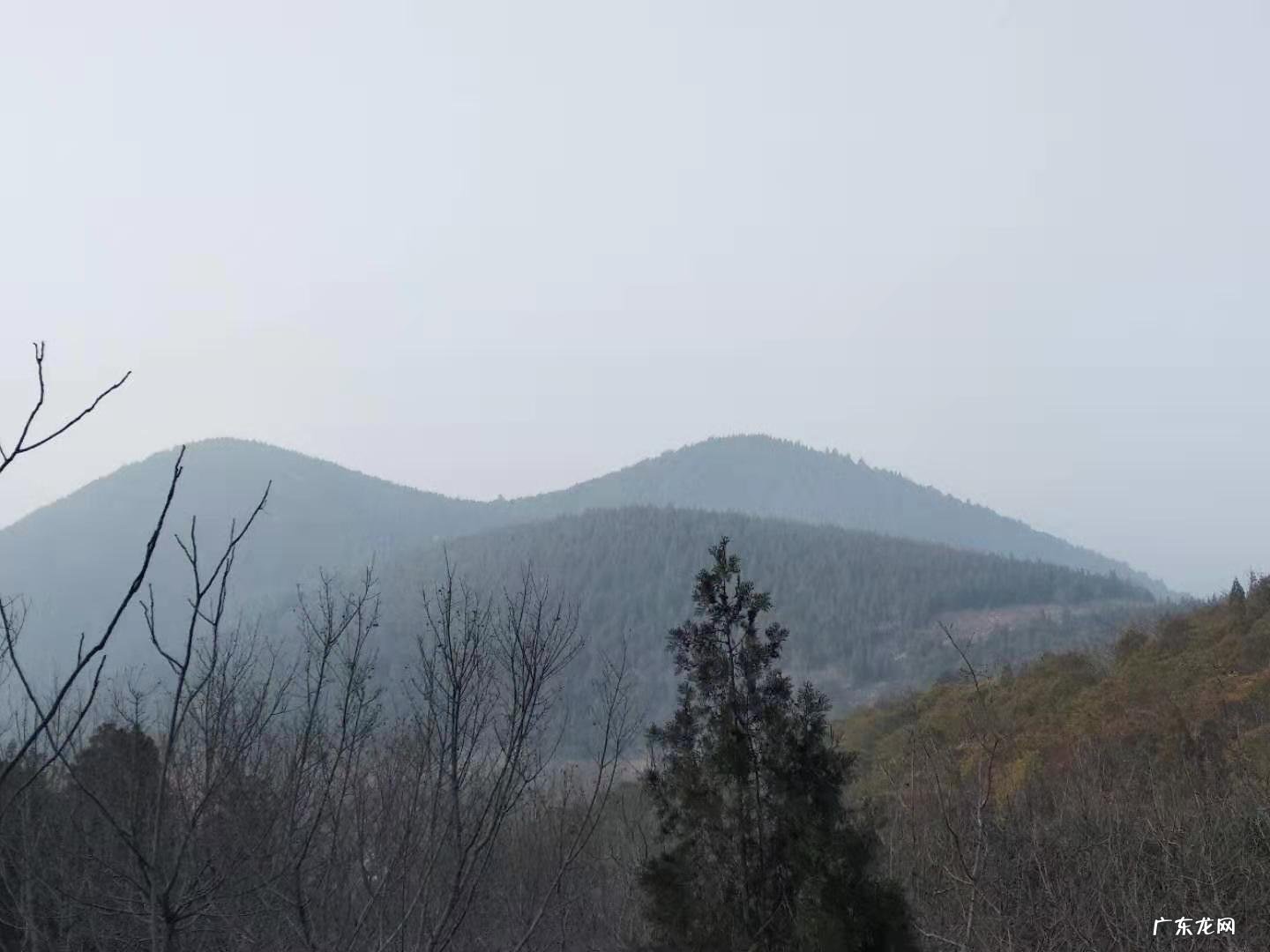 “一花一叶一世界,一草一木一菩提”怎么给解读一下?