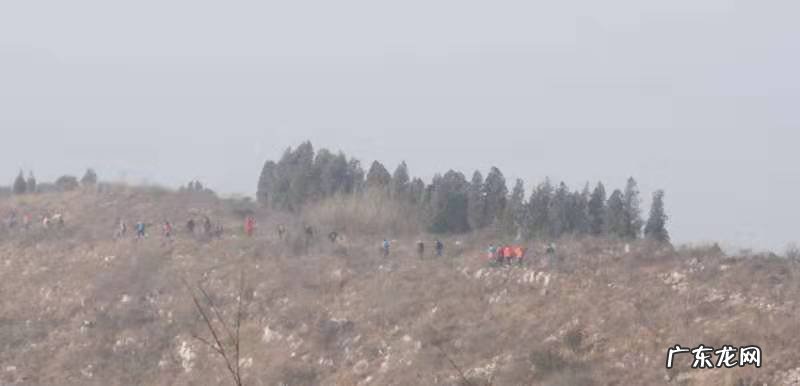 “一花一叶一世界,一草一木一菩提”怎么给解读一下?