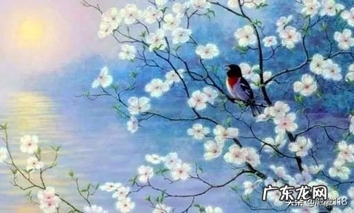 “一花一叶一世界,一草一木一菩提”怎么给解读一下?