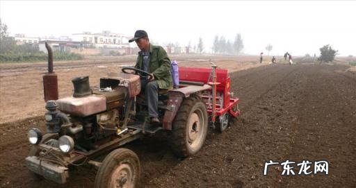 美国的小麦一亩能产多少斤?中国的小麦亩产有多少斤?