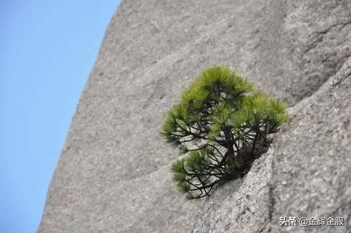 会计类 互联网企业接连裁员,2023届天坑还能转行做产品经理吗?