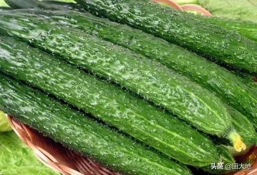 今年过年期间蔬菜价格会大涨吗?