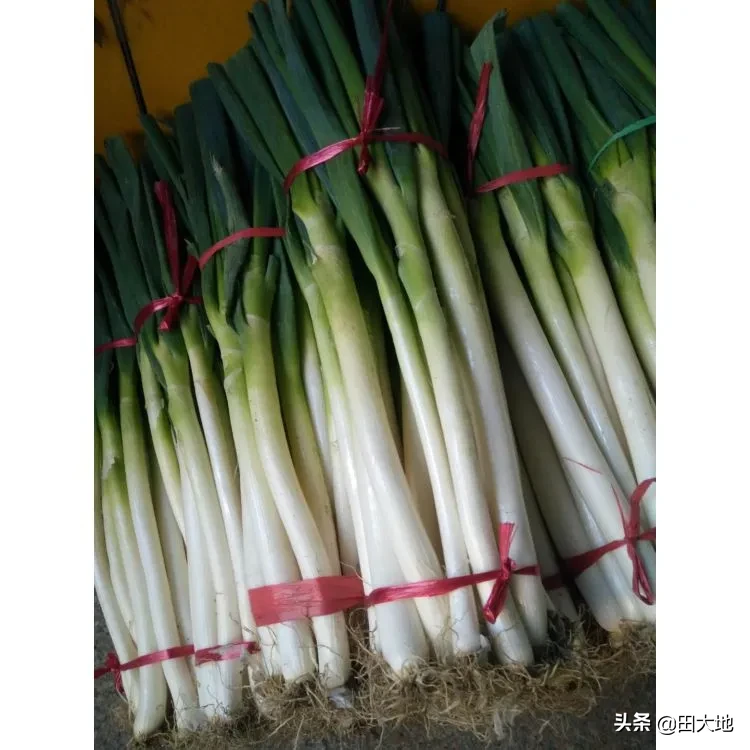 今年过年期间蔬菜价格会大涨吗?