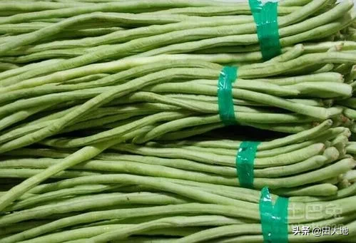 今年过年期间蔬菜价格会大涨吗?