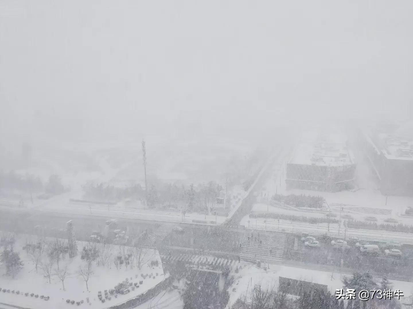 今年过年期间蔬菜价格会大涨吗?