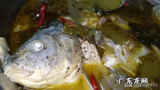鲤鱼家常做法酸菜鱼,鲤鱼能做酸菜鱼吗视频