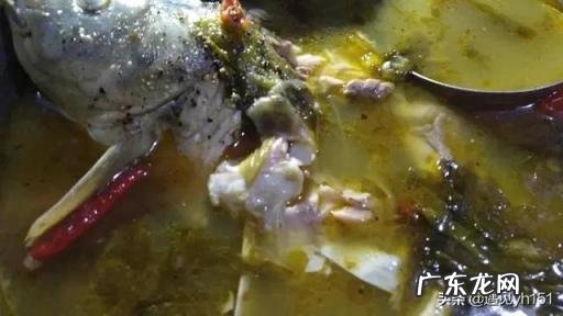 鲤鱼家常做法酸菜鱼,鲤鱼能做酸菜鱼吗视频