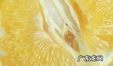 葡萄柚是热性还是凉性 葡萄柚是热性还是凉性食物