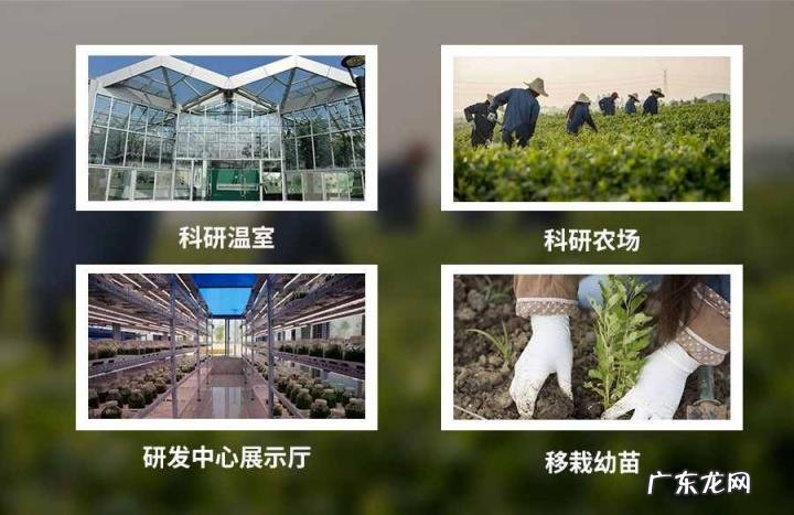 安利天猫官方旗舰店是正品吗 美国进口安利洗发水