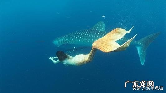 世上真有人鱼吗?