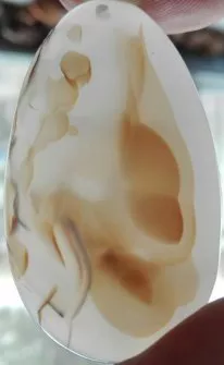 世上真有人鱼吗?