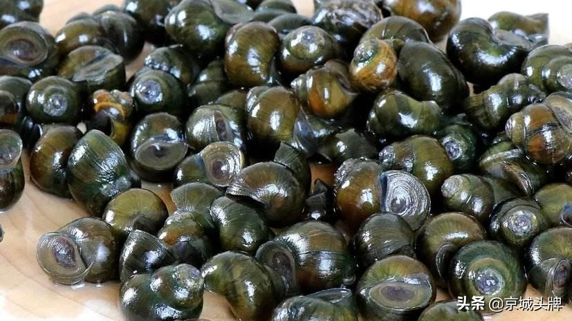 你最喜欢的原汁原味的菜品有哪些,怎么制作?