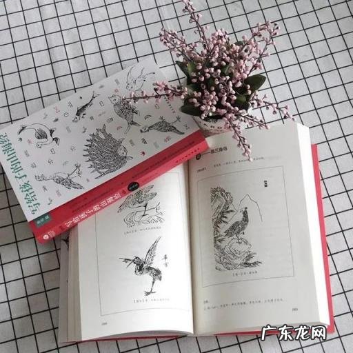 山海经白话文在线阅读 山海经全文阅读