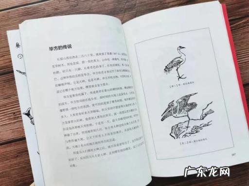 山海经白话文在线阅读 山海经全文阅读