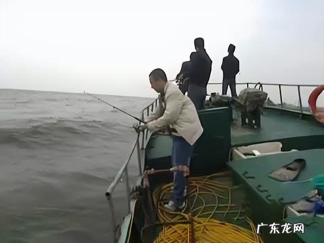 鲜食海参与即食海参,鲜食海参和即食海参哪个重