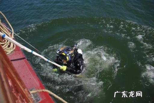 鲜食海参与即食海参，鲜食海参和即食海参哪个重