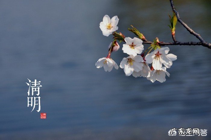 2018年清明将至,有哪些诗词是寄托清明节对先人的追悼与哀思的?