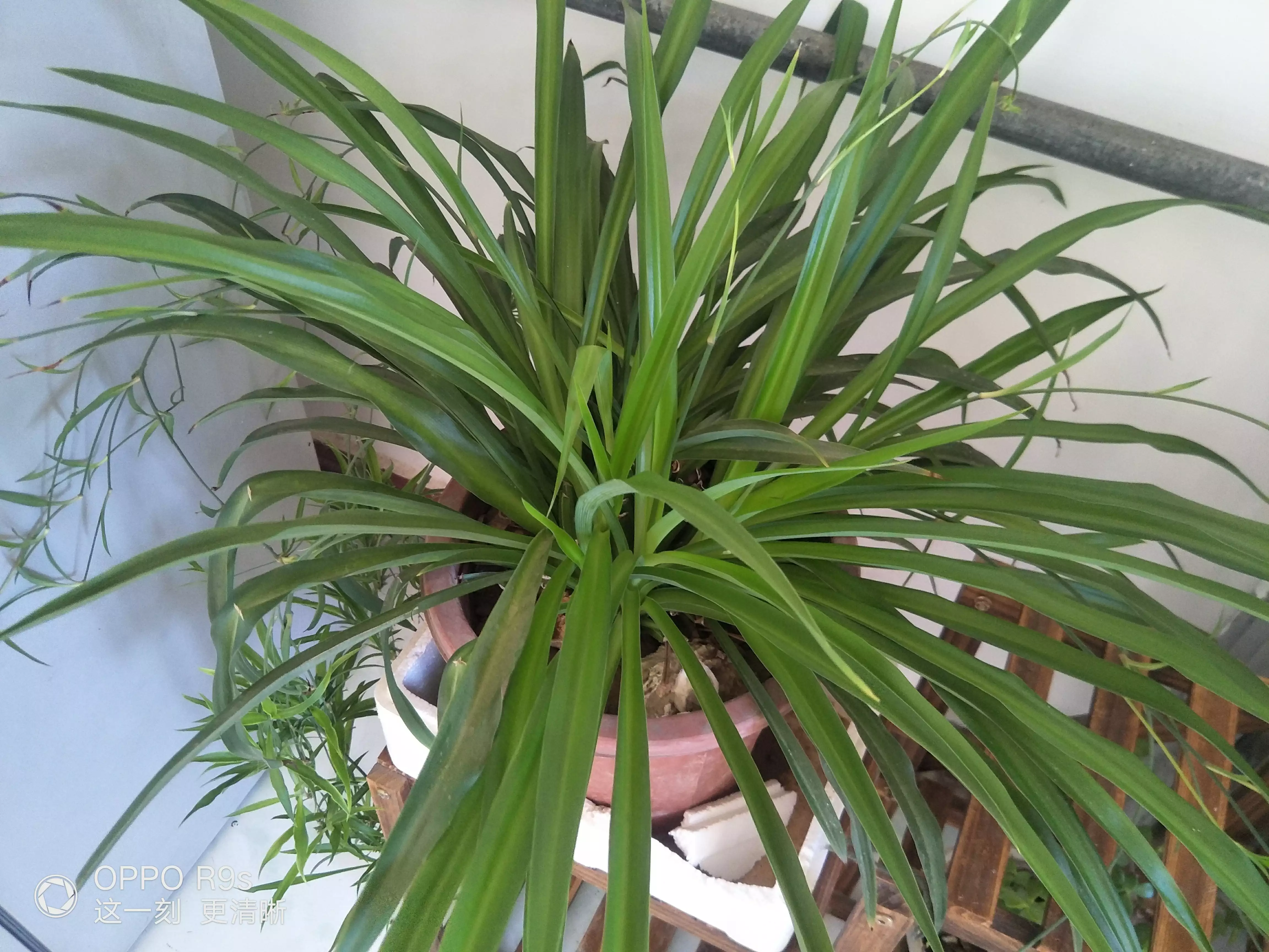 减肥期间,晚上能吃东西吗?吃什么才不会胖?