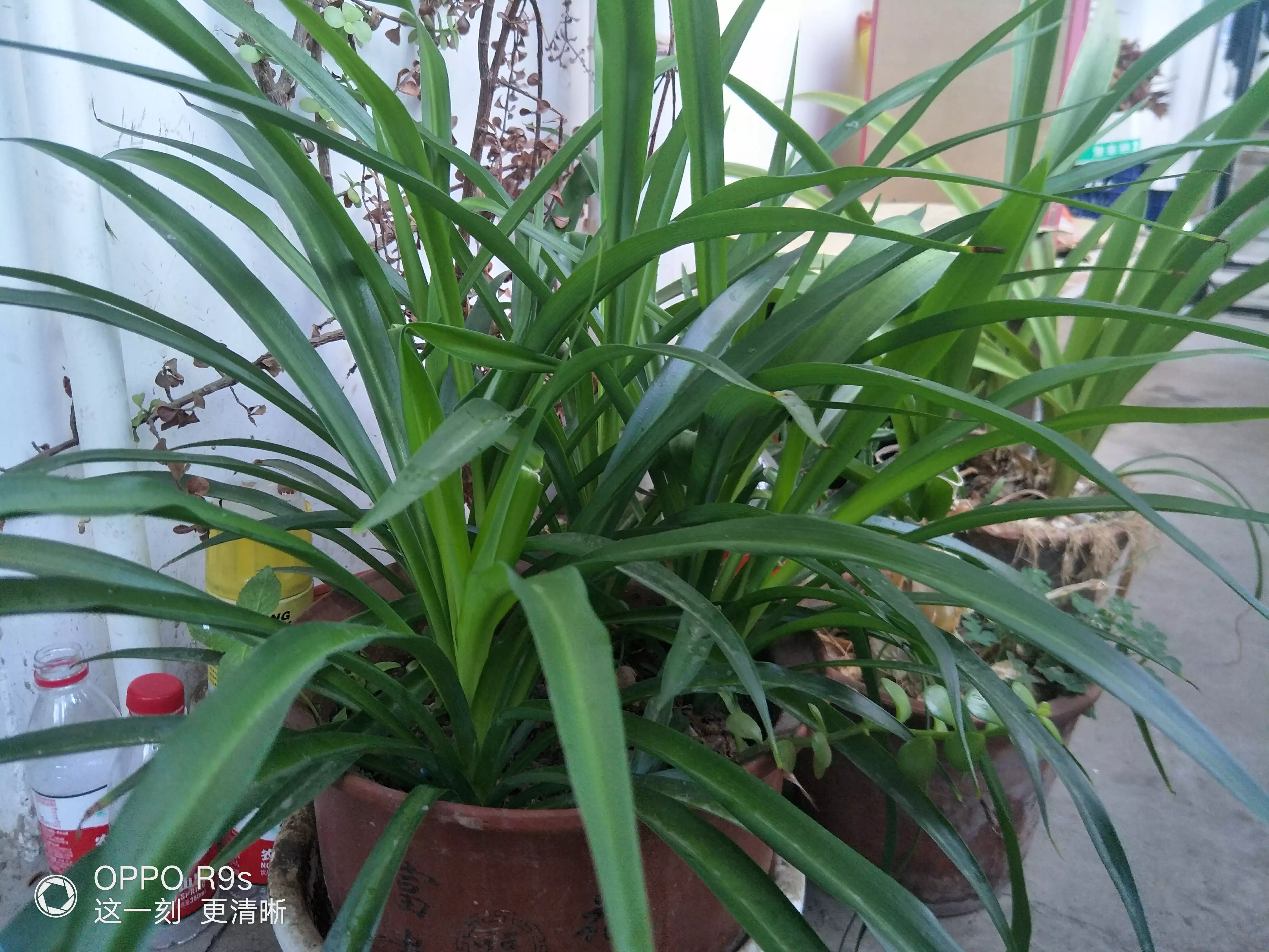 减肥期间,晚上能吃东西吗?吃什么才不会胖?