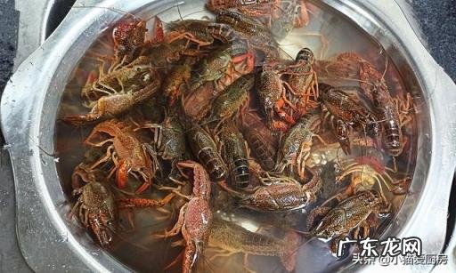 龙虾视频家常做法,龙虾的做法大全蒜蓉小龙虾