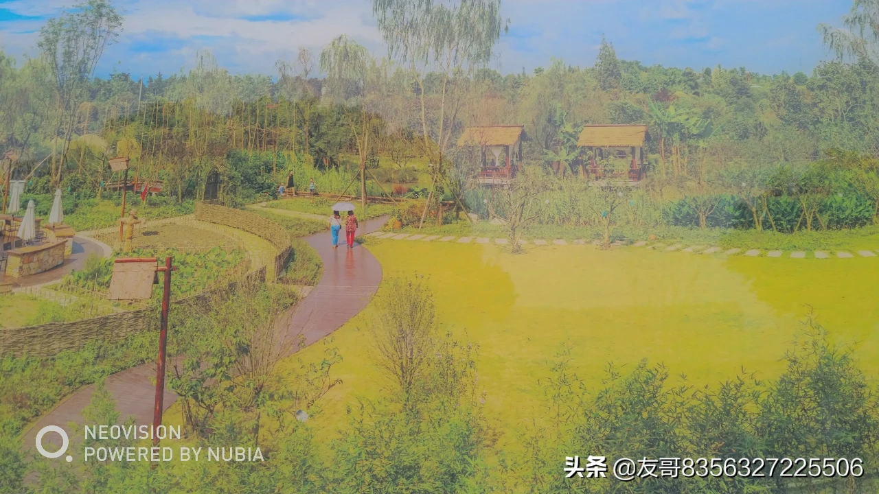 2019元旦你准备怎么庆祝?