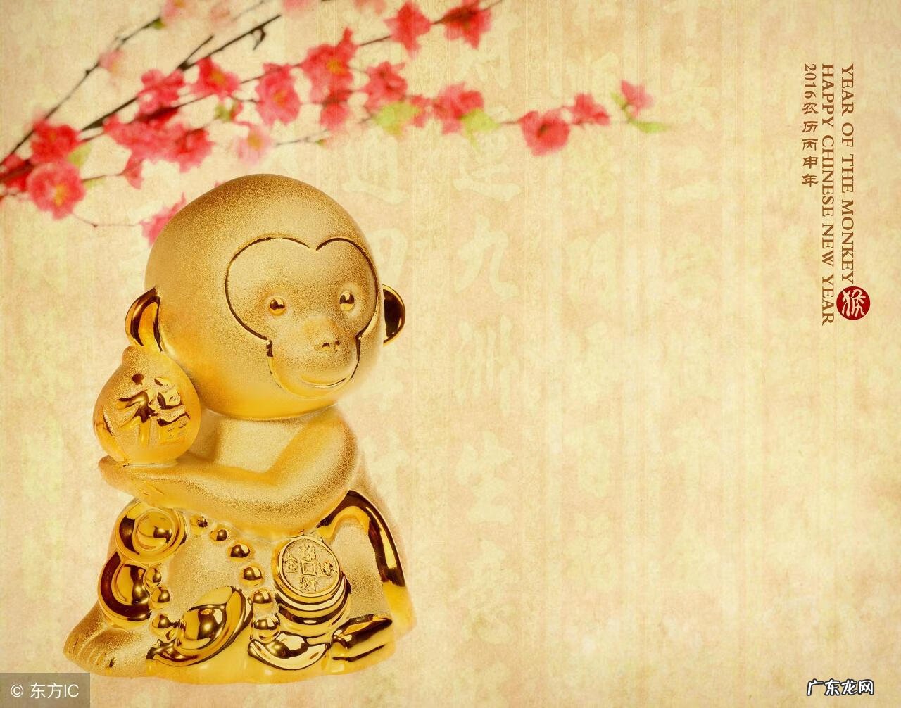 88年属龙女找92年猴 88年龙和92年猴女