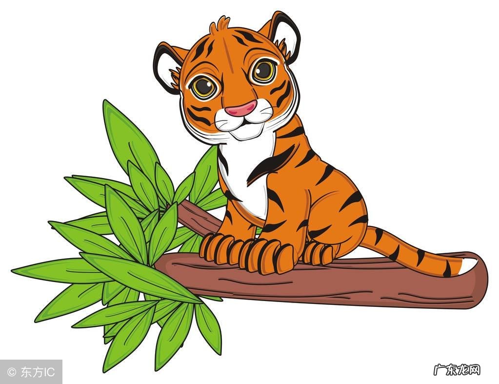 88年属龙女找92年猴 88年龙和92年猴女