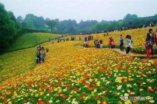 家里老人去世风水 老人过世在家里 风水
