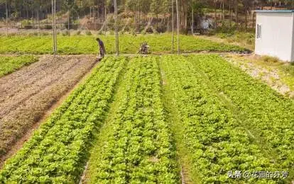 家里老人去世风水 老人过世在家里 风水