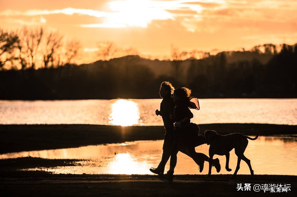 40分钟跑多少公里算是慢跑?
