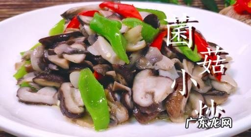 蘑菇的家常做法菜谱大全,蘑菇的家常做法简单又好吃