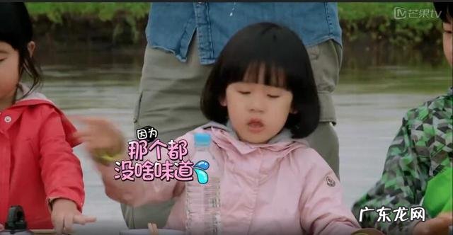 草鱼的家常做法大全黄磊,黄磊菜谱红烧草鱼