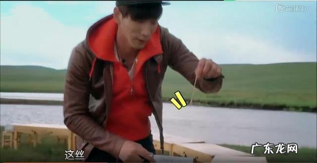 草鱼的家常做法大全黄磊,黄磊菜谱红烧草鱼