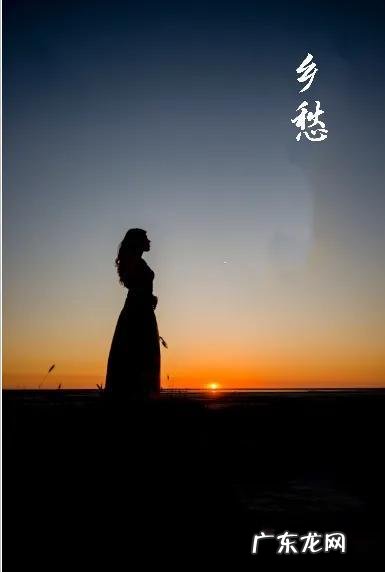 鲤鱼的家常做法炖汤,鲤鱼的家常做法炖鱼块