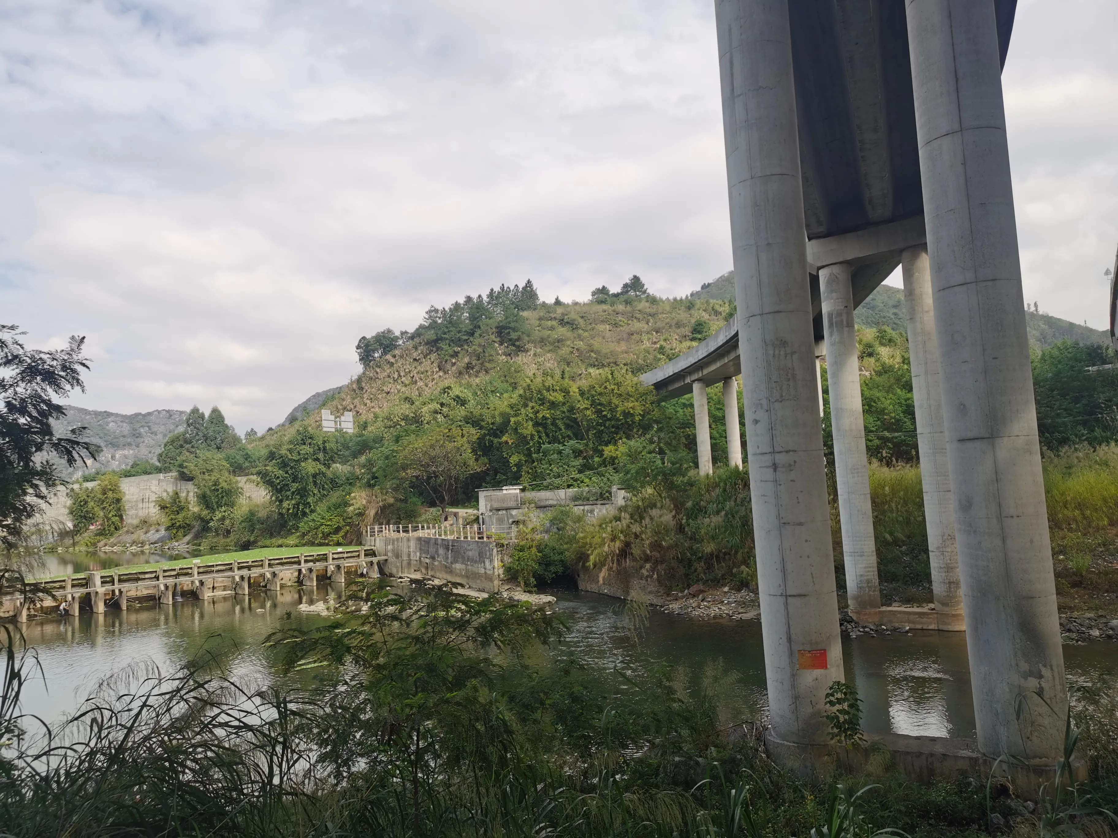 你小时候是怎么钓鱼的？