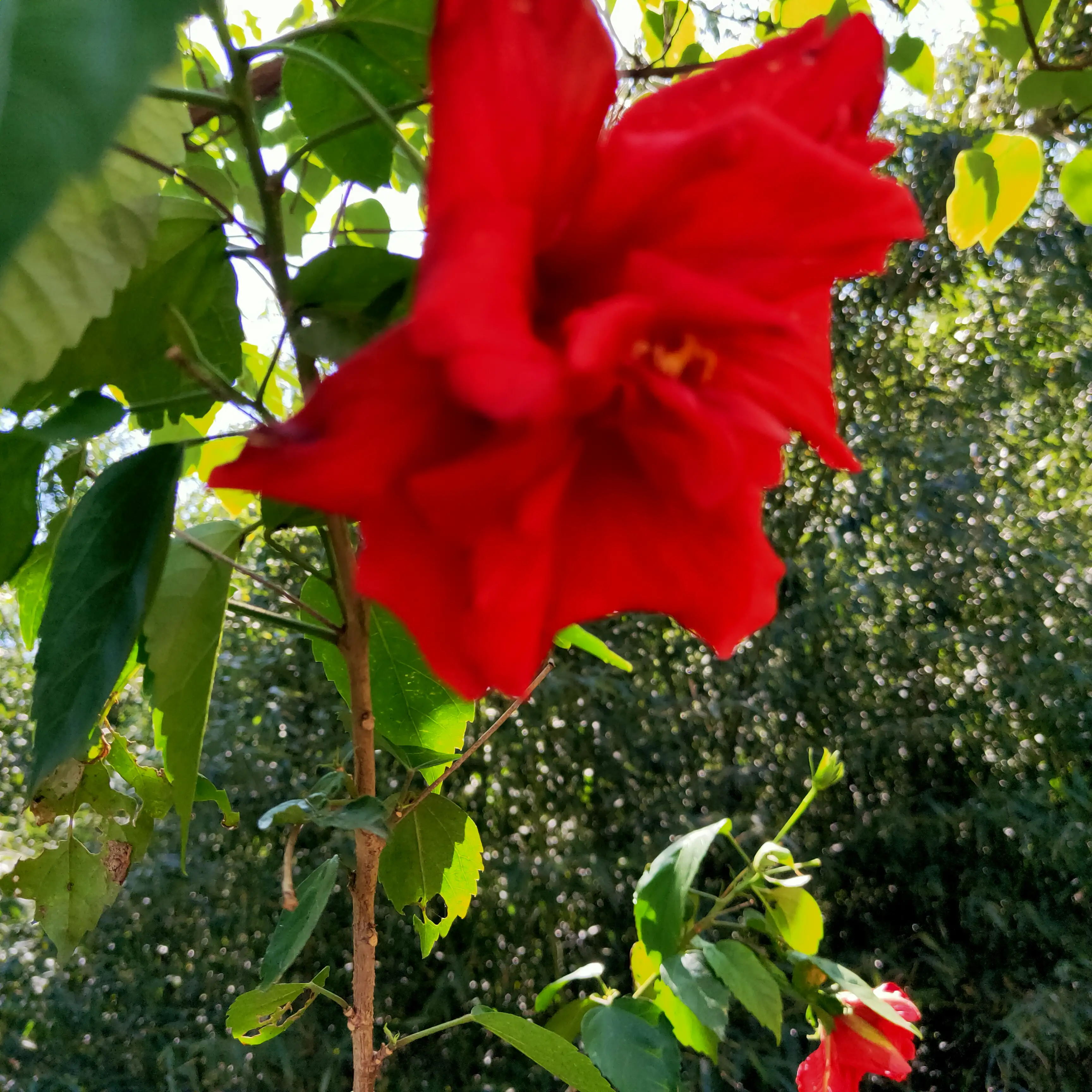 为什么有的女人长的不很漂亮却有十足的女人味?