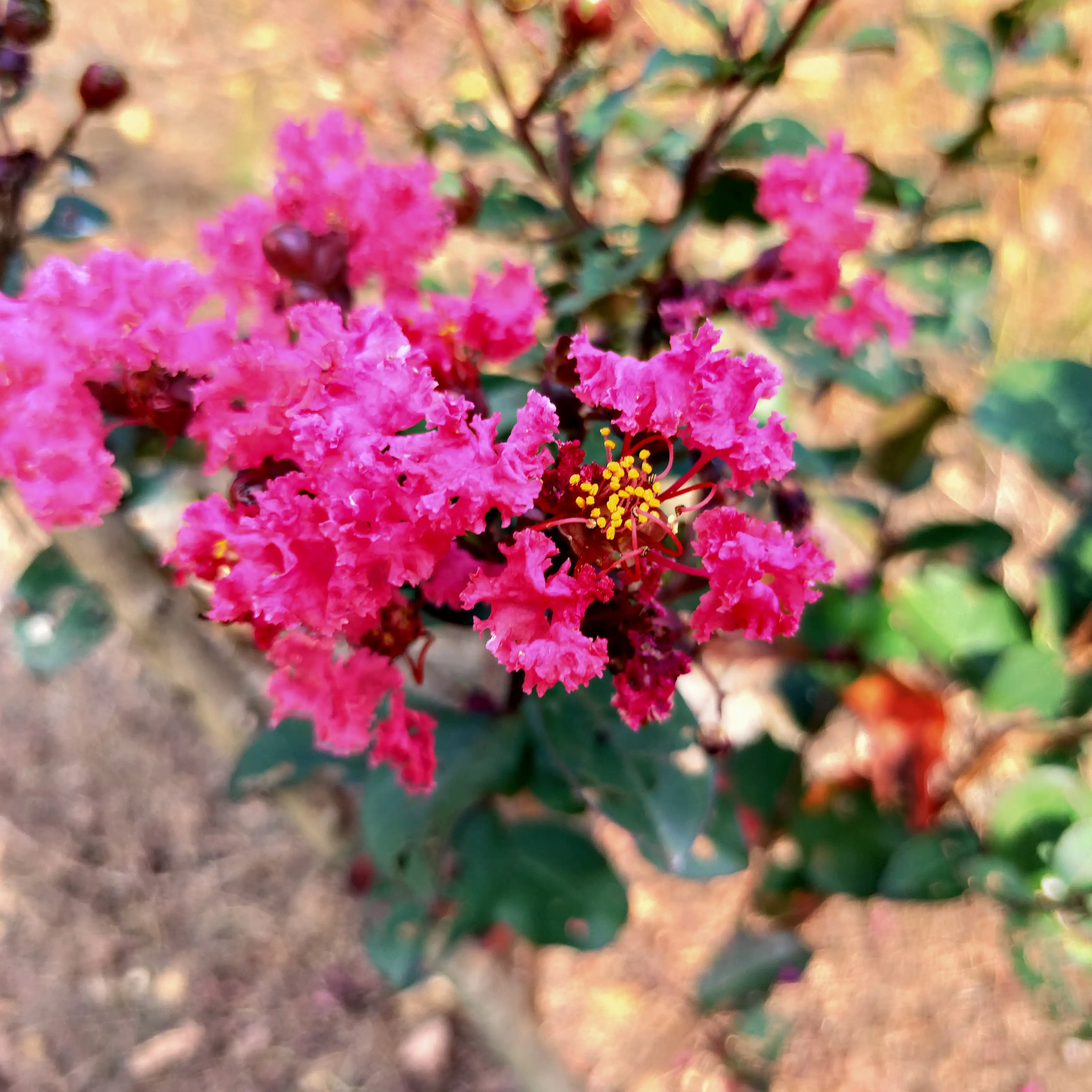 为什么有的女人长的不很漂亮却有十足的女人味?