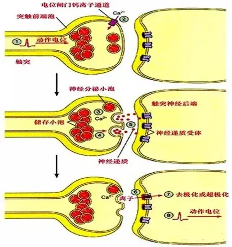 乐力钙片说明书 乐力钙片的功效