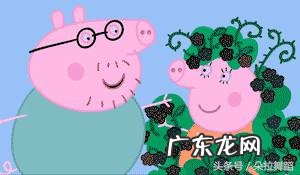 爱探险的朵拉星星山 朵拉抓星星