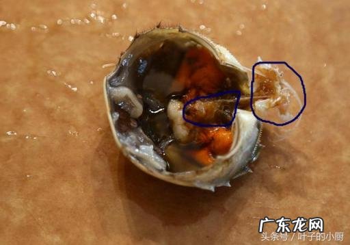 螃蟹香辣家常做法,香辣螃蟹的处理方法