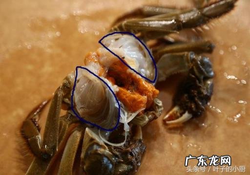 螃蟹香辣家常做法,香辣螃蟹的处理方法