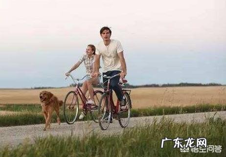 你们看过哪几部关于狗的电影?