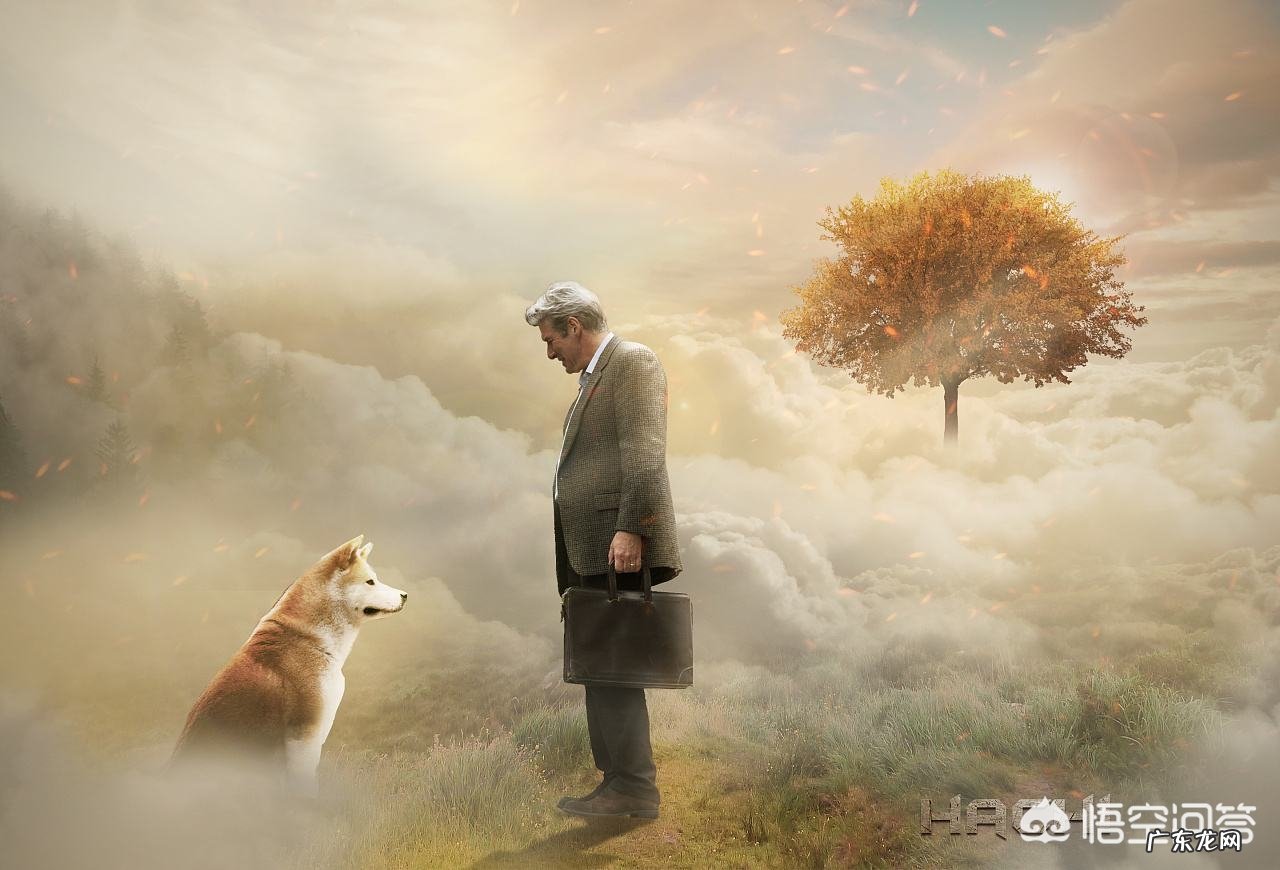 你们看过哪几部关于狗的电影?