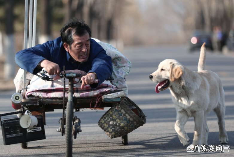 你们看过哪几部关于狗的电影？